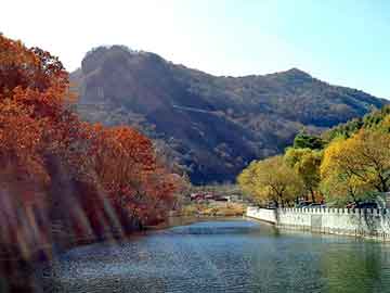 管家婆黑白马报图库，中式快餐店排名